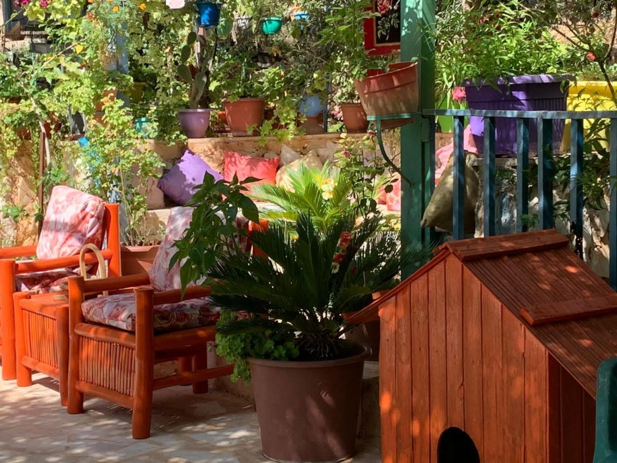 بيت الطبيعة Nature House Jarash Eksteriør bilde