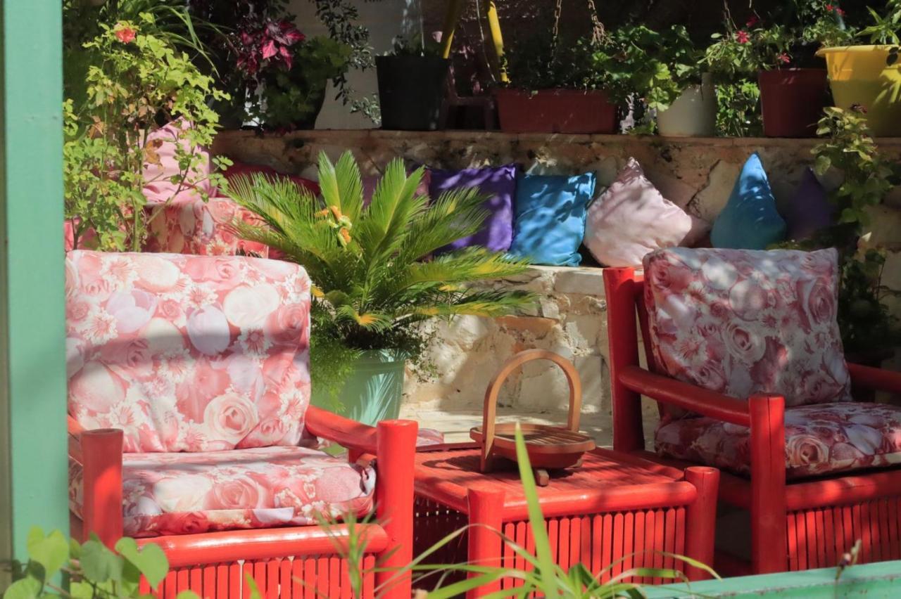 بيت الطبيعة Nature House Jarash Eksteriør bilde