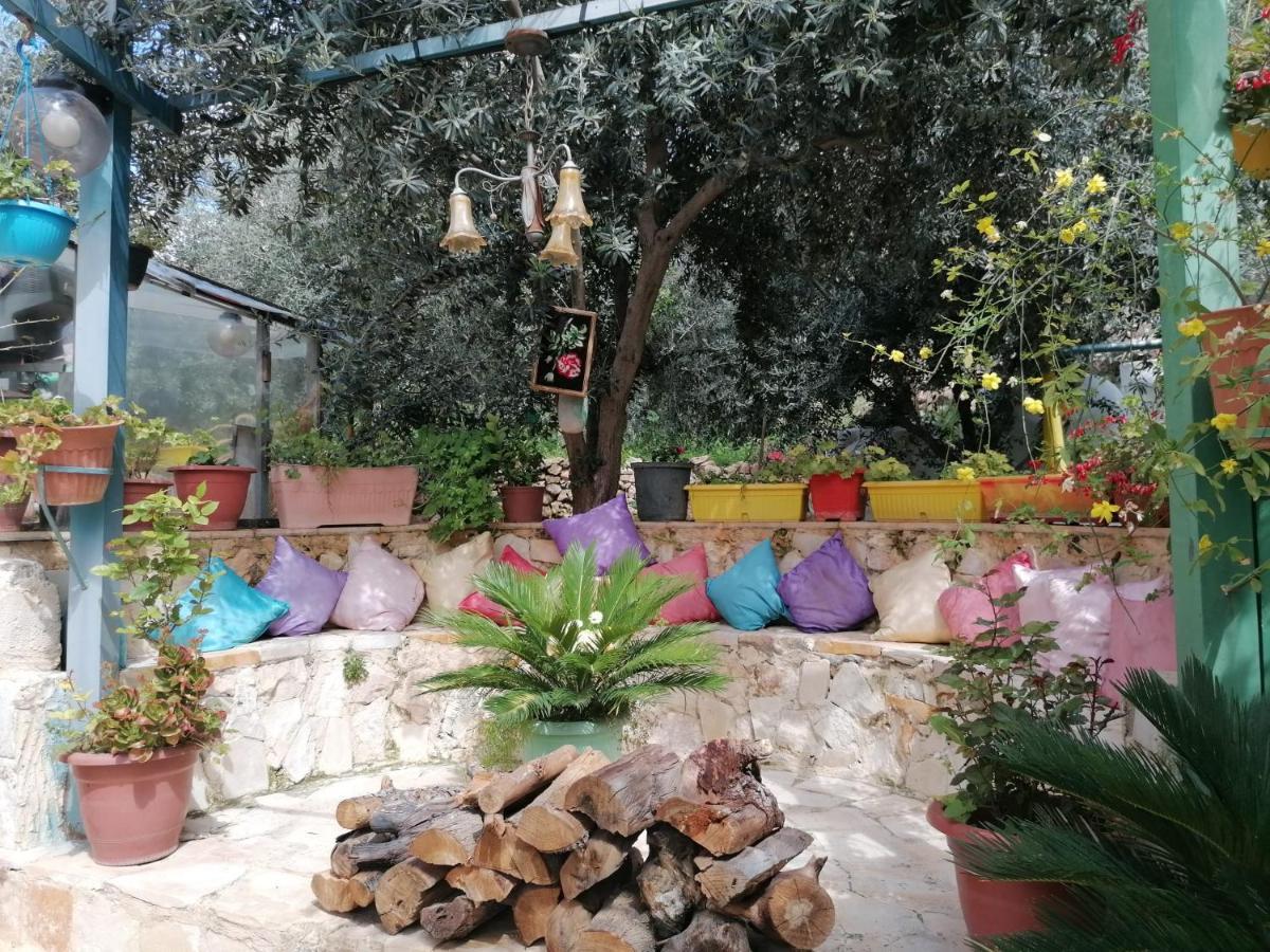 بيت الطبيعة Nature House Jarash Eksteriør bilde