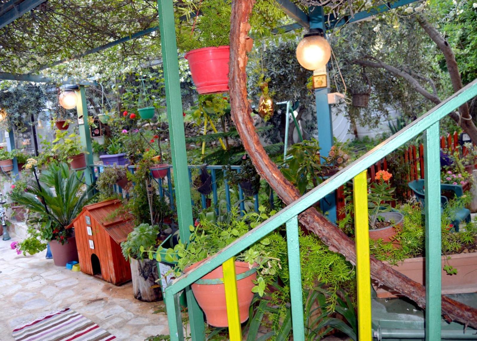 بيت الطبيعة Nature House Jarash Rom bilde