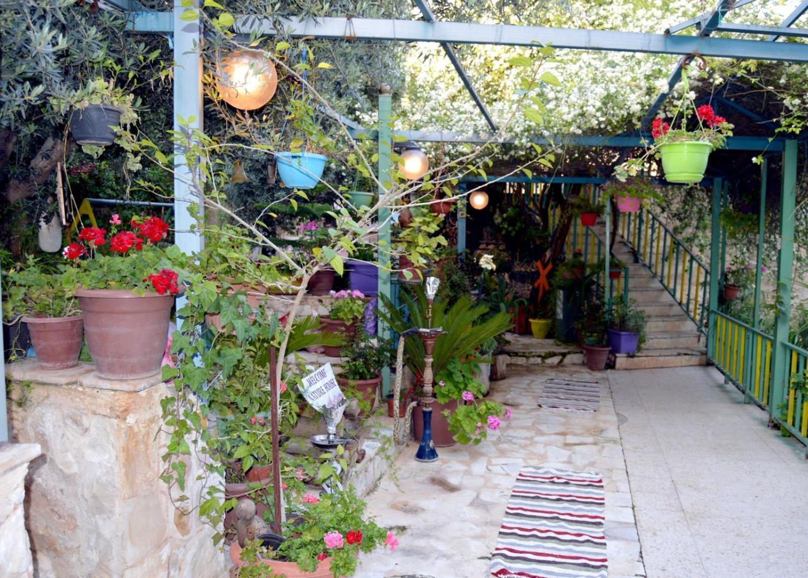 بيت الطبيعة Nature House Jarash Rom bilde